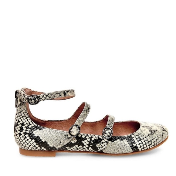 Steve Madden Flats 6 Norrra Snakeskin - Picture 1 of 1